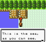 Old man describing to Fry, 'this is the sea as you can see.'