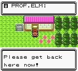 Pokemon screenshot, text reads 'Please get back here now!'