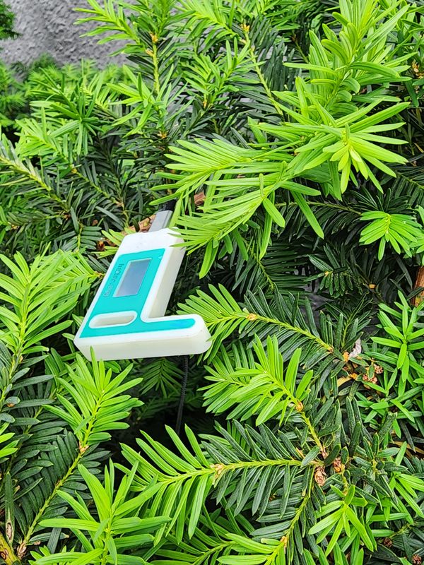 Photo of a Heltek v3 meshtastic node connected to a USB cable popping out of a green bush